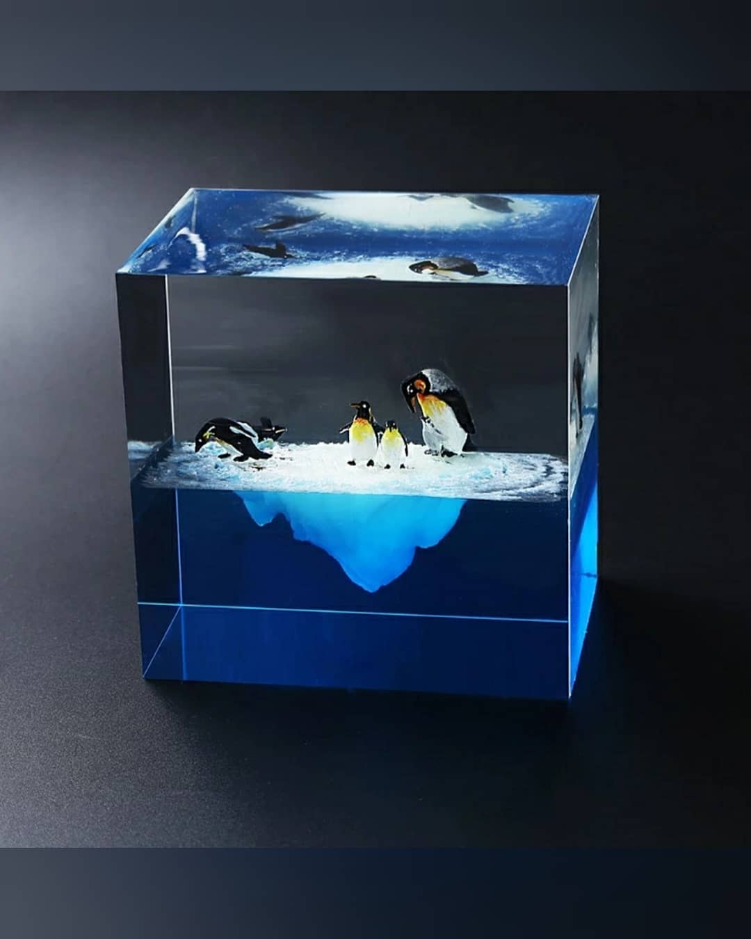  خرجکار پنگوئن