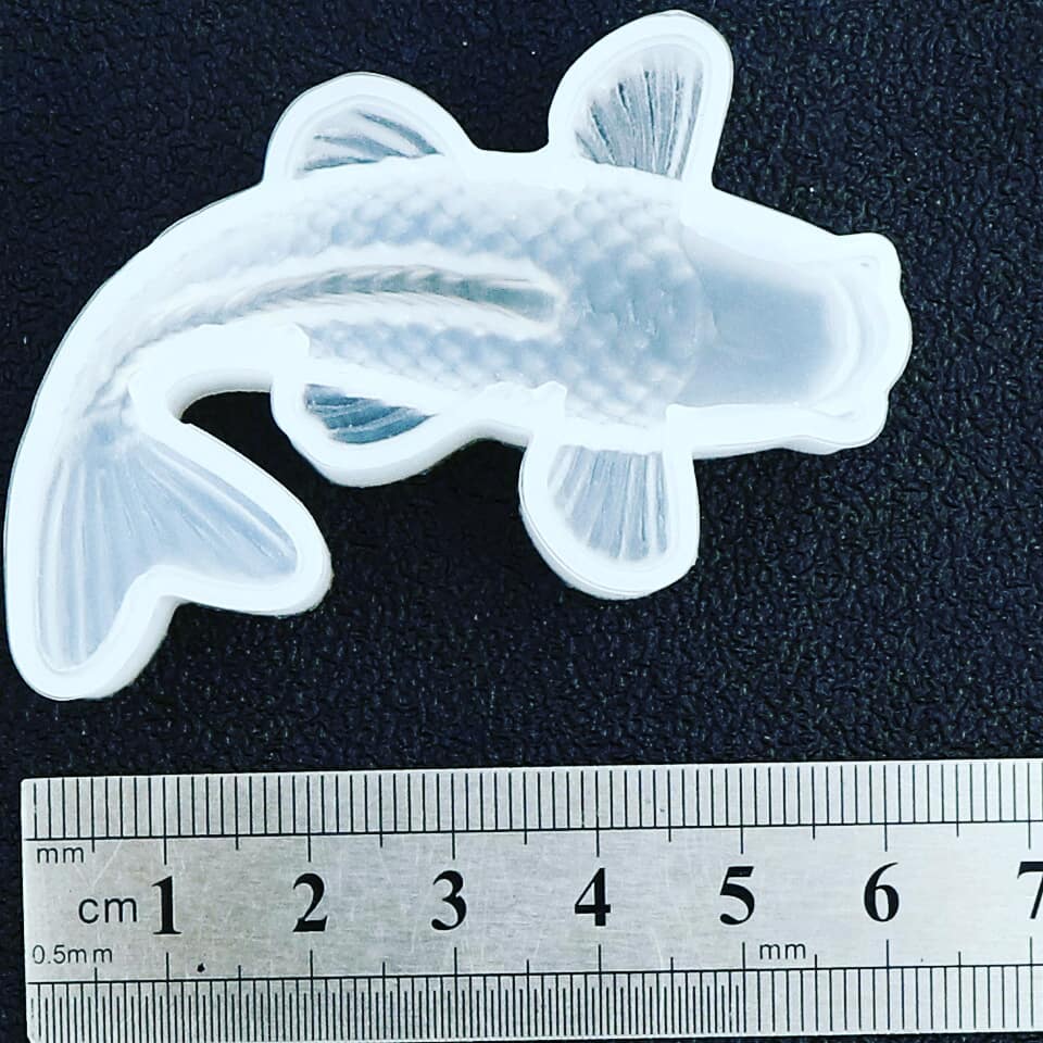  ماهی کوچک